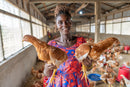 Chicken - thumbnail