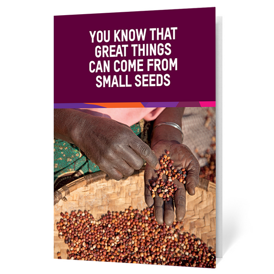 Seeds