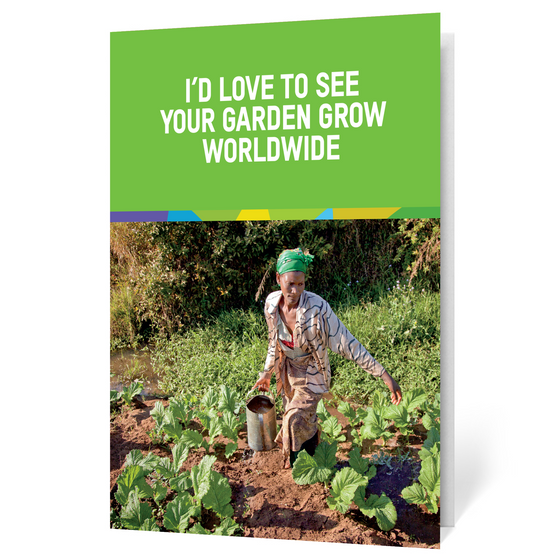 Plant a Garden